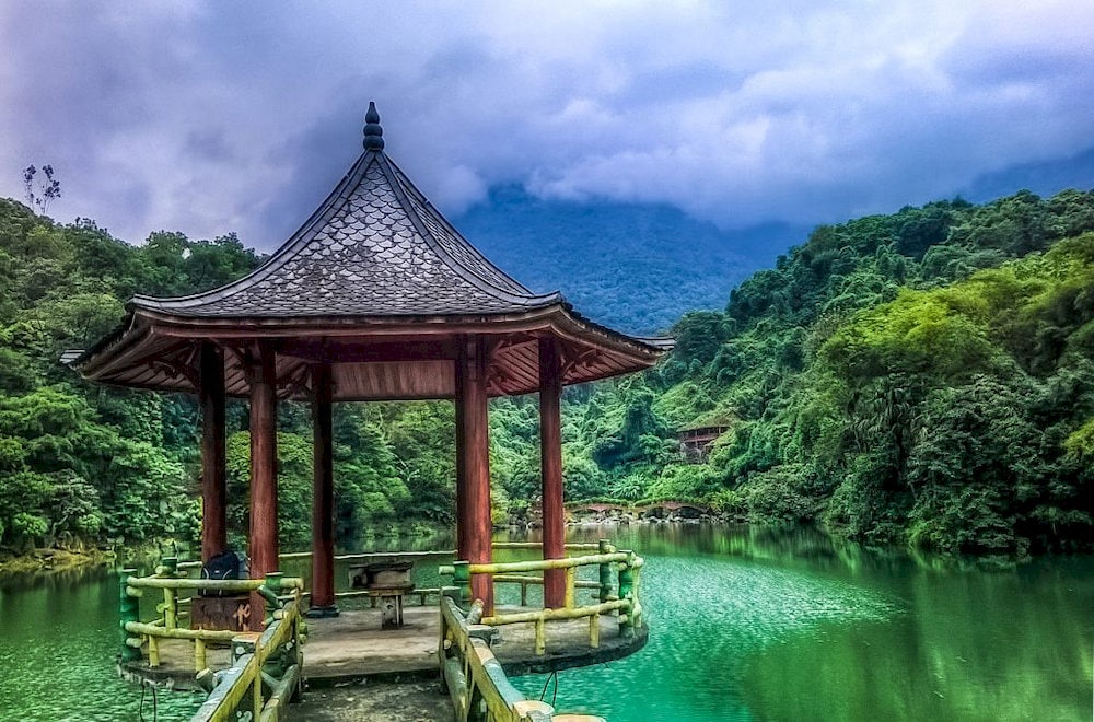 The hidden beauty amidst the lush green forest